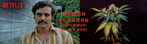 трава Каменка