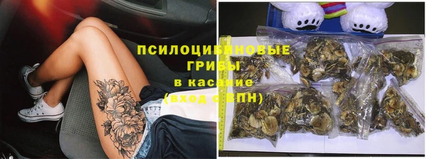 трава Каменка