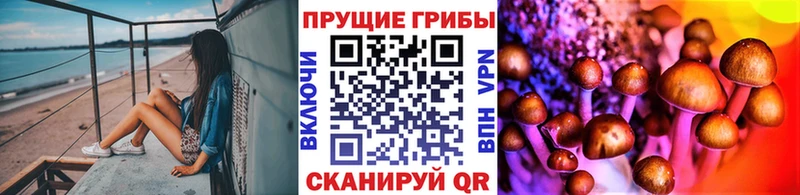 Купить где  Новоаннинский  Псилоцибиновые грибы ЛСД 